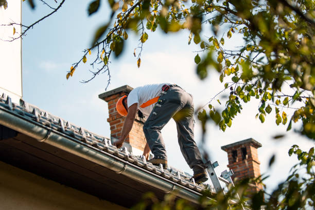 Best Roof Gutter Cleaning  in Green, OH